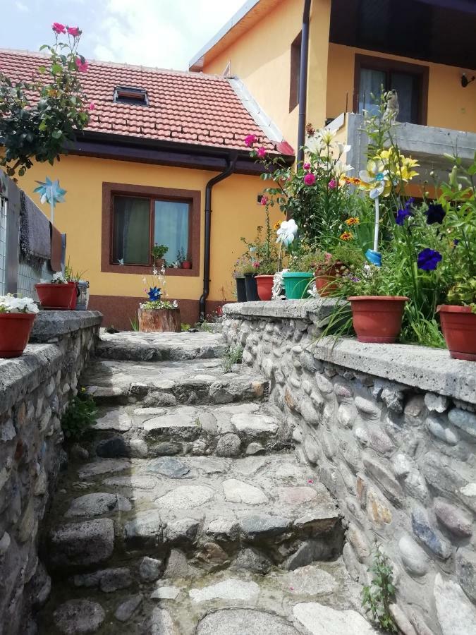 Casa Darius Apartment Orsova Exterior photo