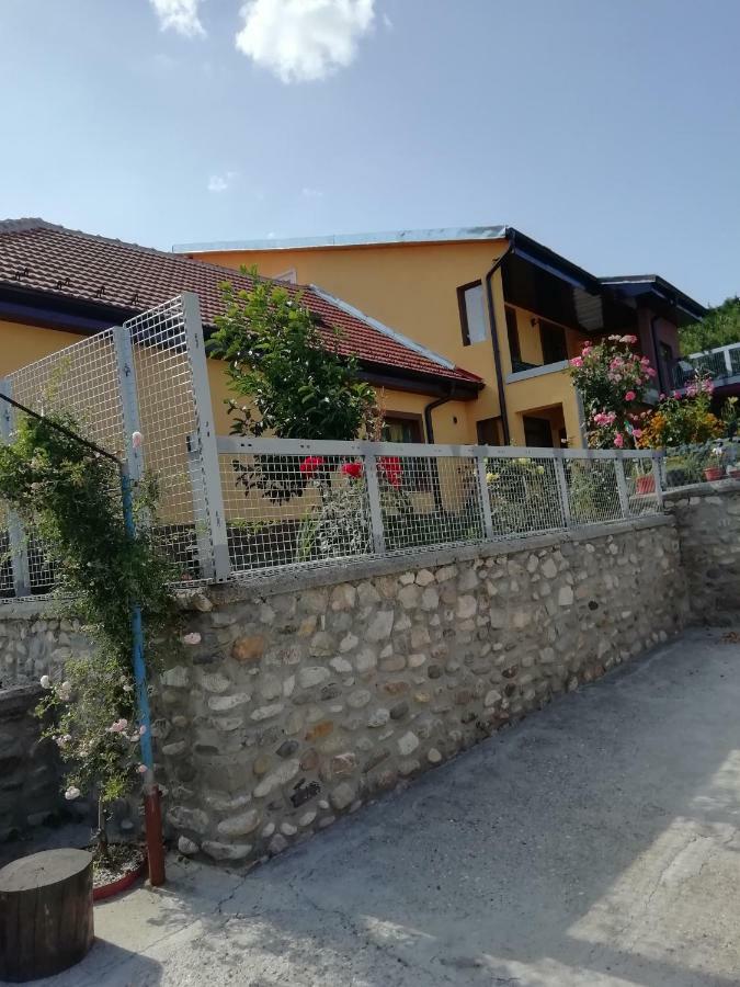 Casa Darius Apartment Orsova Exterior photo
